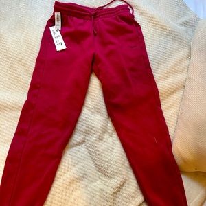 NWT Aritzia Cozy Fleece Boyfriend Sweatpants